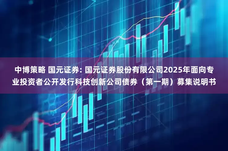中博策略 国元证券: 国元证券股份有限公司2025年面向专业投资者公开发行科技创新公司债券（第一期）募集说明书