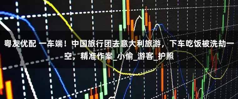 粤友优配 一车端！中国旅行团去意大利旅游，下车吃饭被洗劫一空，精准作案_小偷_游客_护照