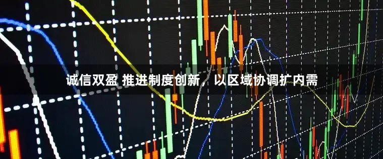 诚信双盈 推进制度创新，以区域协调扩内需
