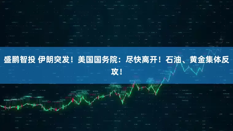 盛鹏智投 伊朗突发！美国国务院：尽快离开！石油、黄金集体反攻！